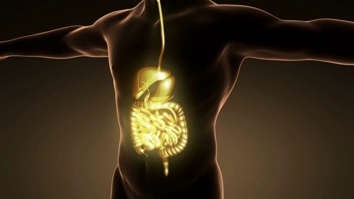 Sistema nervoso autonomo, l’interfaccia tra corpo e cervello Sistema nervoso autonomo, l’interfaccia tra corpo e cervello