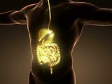 Sistema nervoso autonomo, l’interfaccia tra corpo e cervello