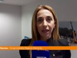 Piemonte, Chiorino “Da Regione integrazione salariale Cig Automotive”