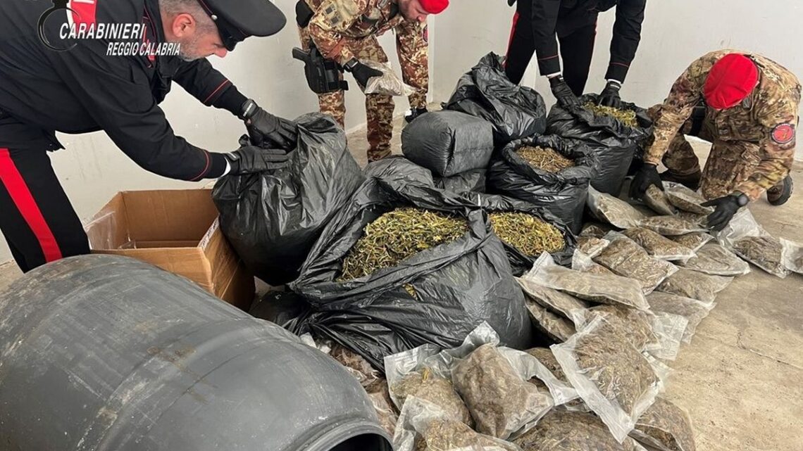 Più di 30 kg di marijuana nascosti in casa nella Locride, un arresto Più di 30 kg di marijuana nascosti in casa nella Locride, un arresto