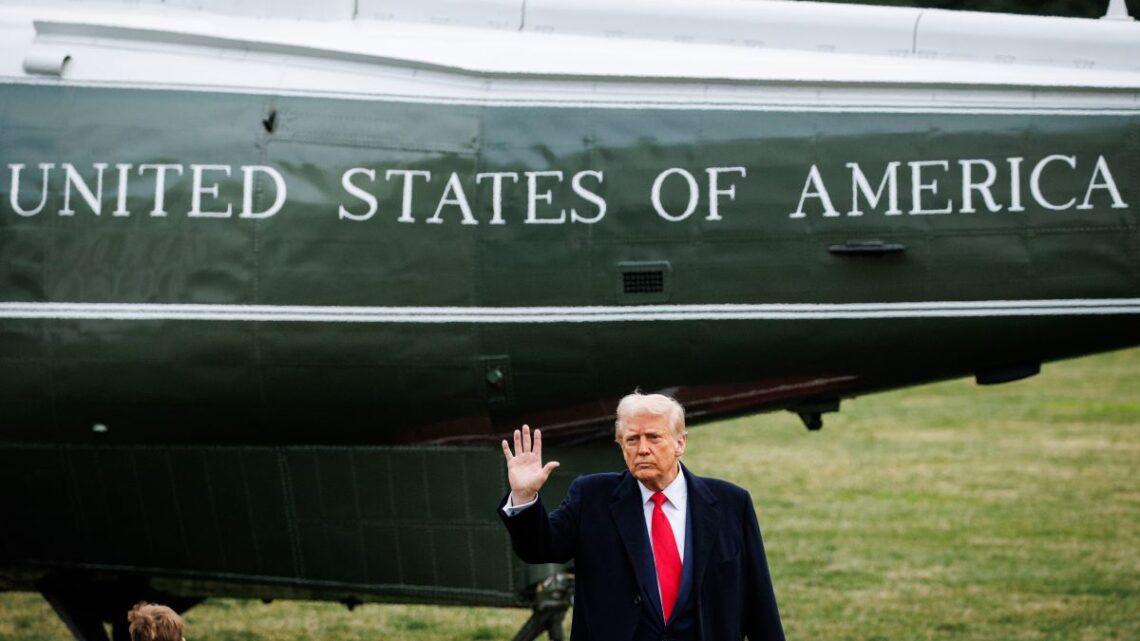 Ucraina, Trump “Parlerò con Putin domani” Ucraina, Trump “Parlerò con Putin domani”