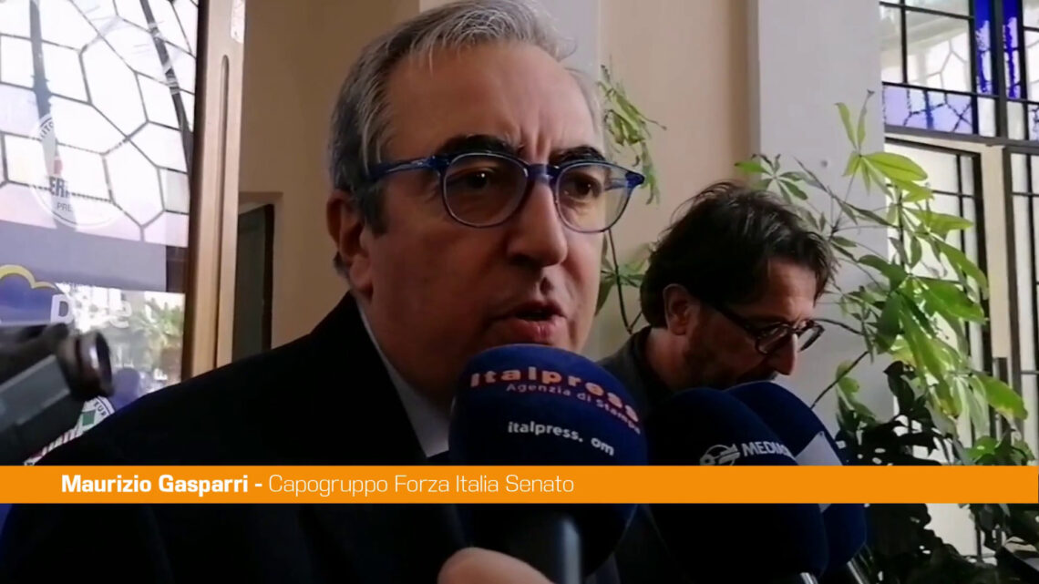 Gasparri”Si può rispettare sofferenza Spinelli e non sposare pensiero” Gasparri”Si può rispettare sofferenza Spinelli e non sposare pensiero”