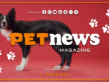 PetNews Magazine – 11/3/2025