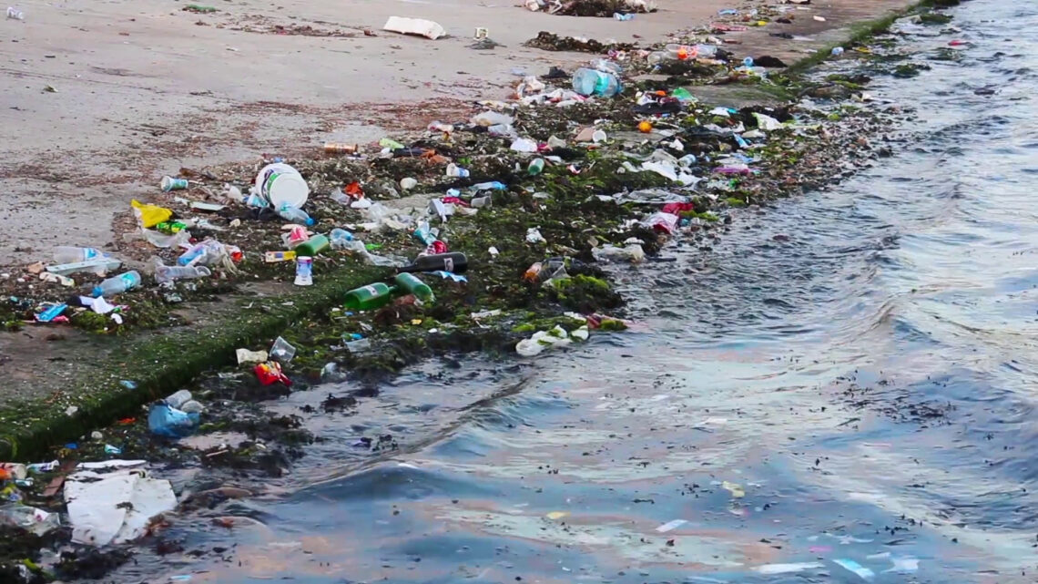 Plastica in Mare, migliaia di rifiuti sui fondali del Mar Mediterraneo Plastica in Mare, migliaia di rifiuti sui fondali del Mar Mediterraneo