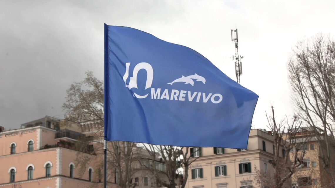 Marevivo festeggia 40 anni di impegno per il mare Marevivo festeggia 40 anni di impegno per il mare