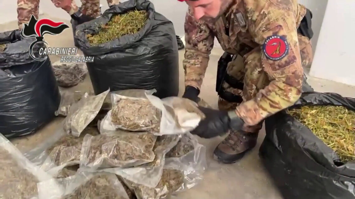 30 kg di marijuana nascosti in casa nella locride, arrestato un 35enne 30 kg di marijuana nascosti in casa nella locride, arrestato un 35enne