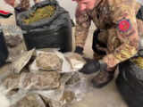 30 kg di marijuana nascosti in casa nella locride, arrestato un 35enne