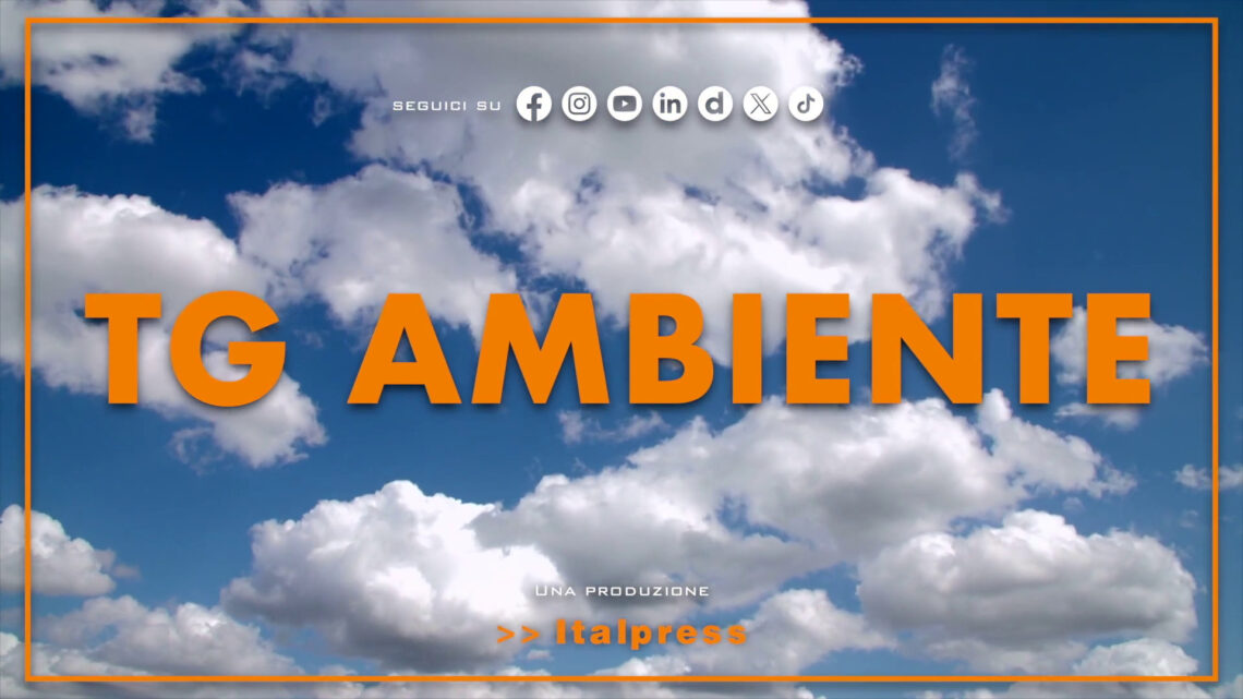 Tg Ambiente – 20/4/2025 Tg Ambiente – 20/4/2025