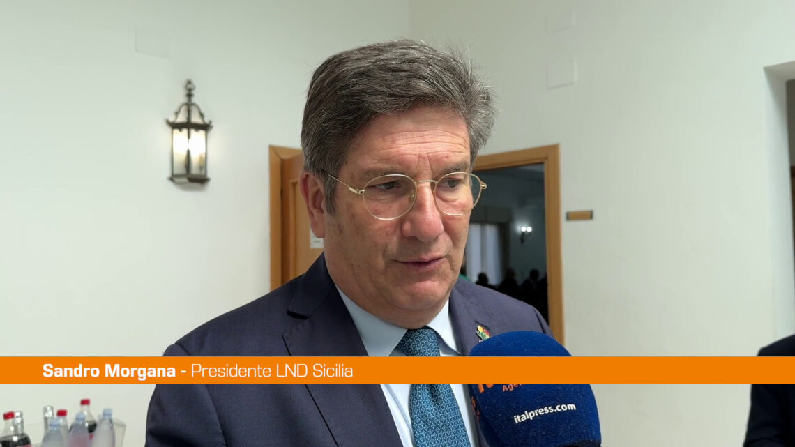 Torneo delle Regioni, Morgana “Nostro impegno anche sociale” Torneo delle Regioni, Morgana “Nostro impegno anche sociale”