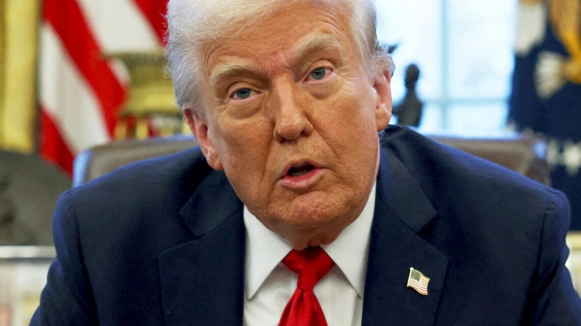 Trump “Metteremo dazi su chip e semiconduttori” Trump “Metteremo dazi su chip e semiconduttori”