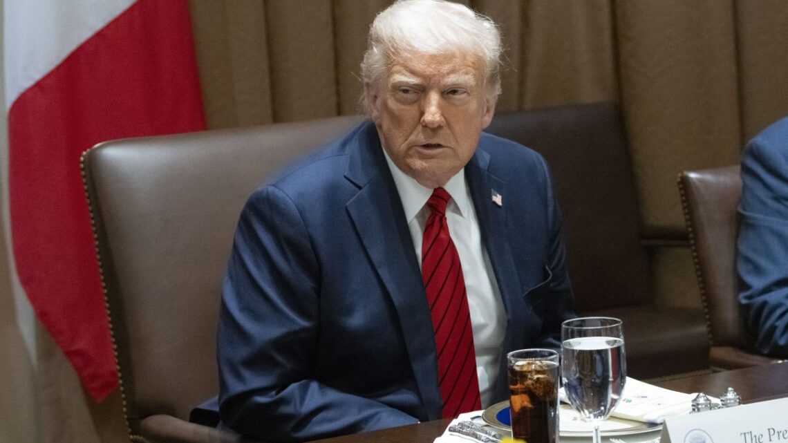 Dazi, Trump “Ci sarà un accordo con la Cina” Dazi, Trump “Ci sarà un accordo con la Cina”