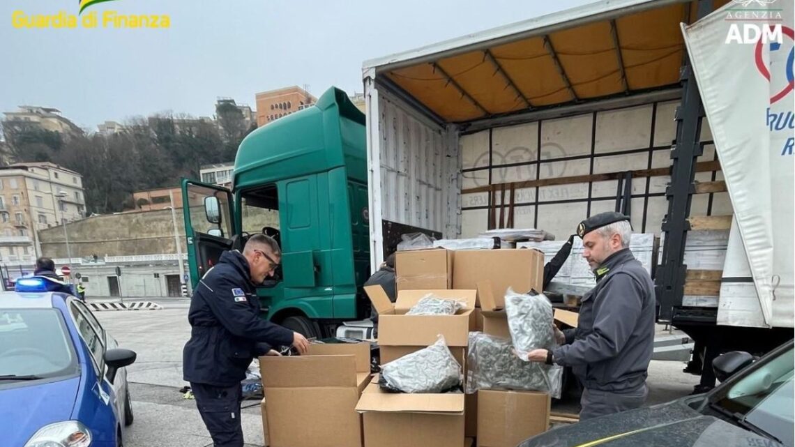 Sequestrati al porto di Ancona 163 kg di droga, un arresto Sequestrati al porto di Ancona 163 kg di droga, un arresto