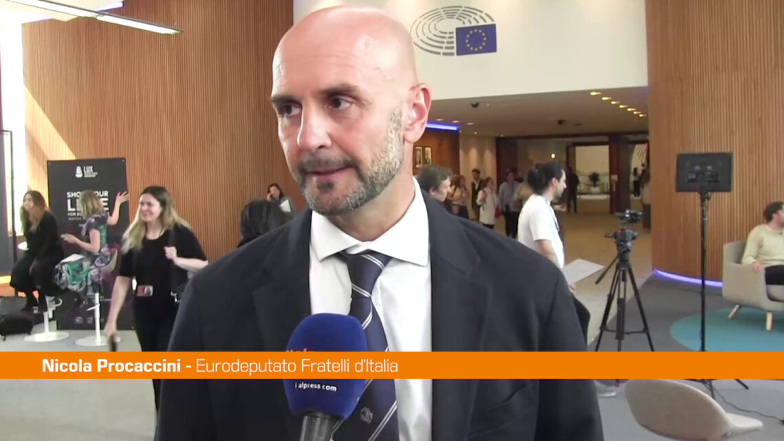 Ucraina, Procaccini “Incontro Trump-Zelensky positivo” Ucraina, Procaccini “Incontro Trump-Zelensky positivo”