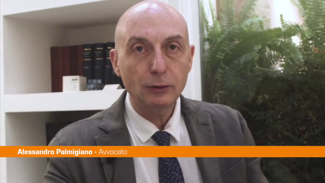 Palmigiano “Convenzione con Associazione Elementi per i più deboli” Palmigiano “Convenzione con Associazione Elementi per i più deboli”