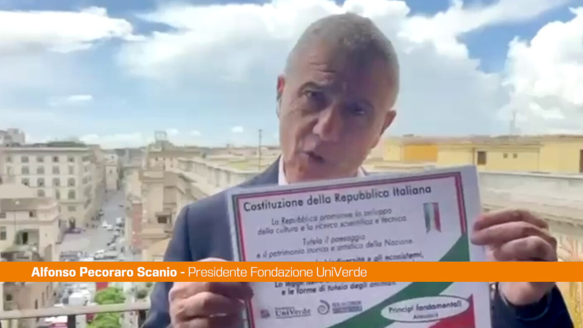 25 aprile, Pecoraro Scanio “Rilanciamo nuovo articolo 9 Costituzione” 25 aprile, Pecoraro Scanio “Rilanciamo nuovo articolo 9 Costituzione”