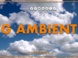 Tg Ambiente – 13/4/2025