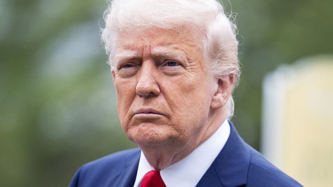 Papa Francesco, Trump parteciperà ai funerali “Io e Melania andremo a Roma” Papa Francesco, Trump parteciperà ai funerali “Io e Melania andremo a Roma”