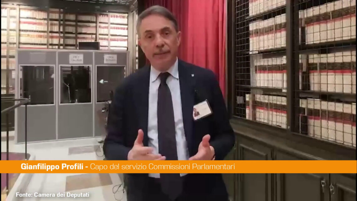 Dfp, capo del servizio Commissioni illustra procedure approvazione Dfp, capo del servizio Commissioni illustra procedure approvazione