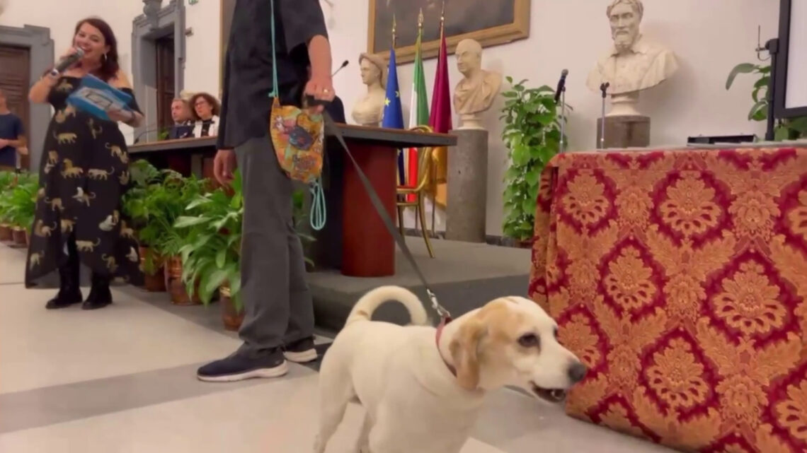 Ai nastri di partenza il premio “La Penna d’Oca del Campidoglio” Ai nastri di partenza il premio “La Penna d’Oca del Campidoglio”