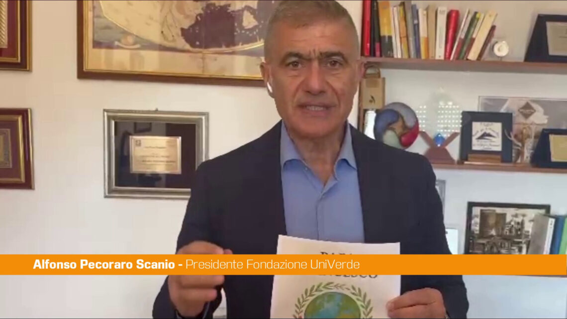 Papa, Pecoraro Scanio “Insegnare enciclica Laudato si’ nelle scuole” Papa, Pecoraro Scanio “Insegnare enciclica Laudato si’ nelle scuole”