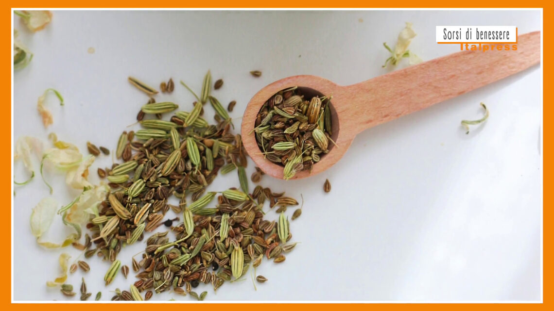 Sorsi di Benessere – Una tisana digestiva Sorsi di Benessere – Una tisana digestiva