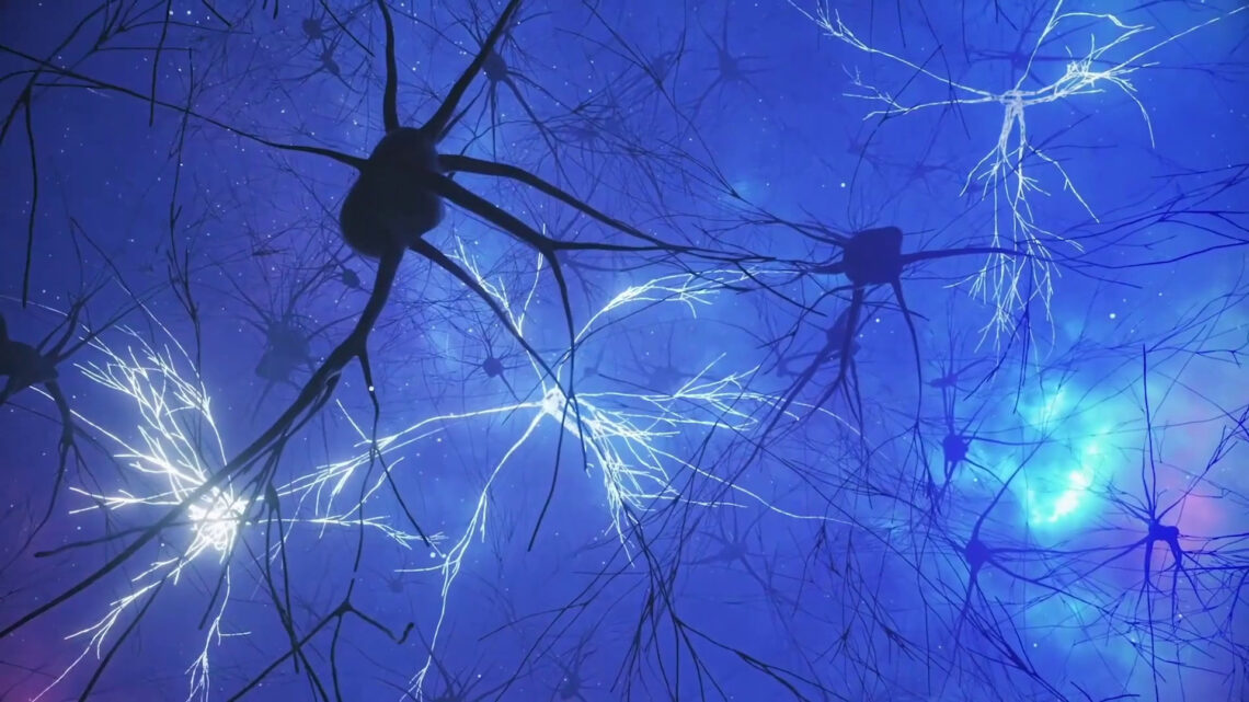 Uno studio svela l’attività cerebrale responsabile della memoria Uno studio svela l’attività cerebrale responsabile della memoria