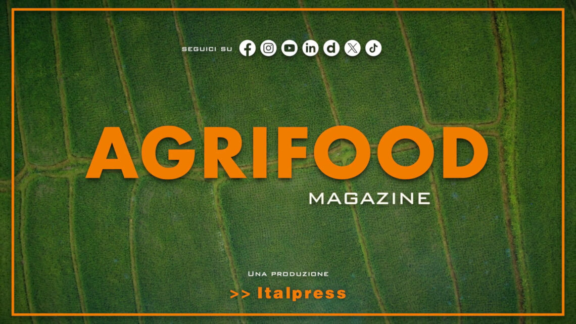 Agrifood Magazine – 2/4/2025 Agrifood Magazine – 2/4/2025