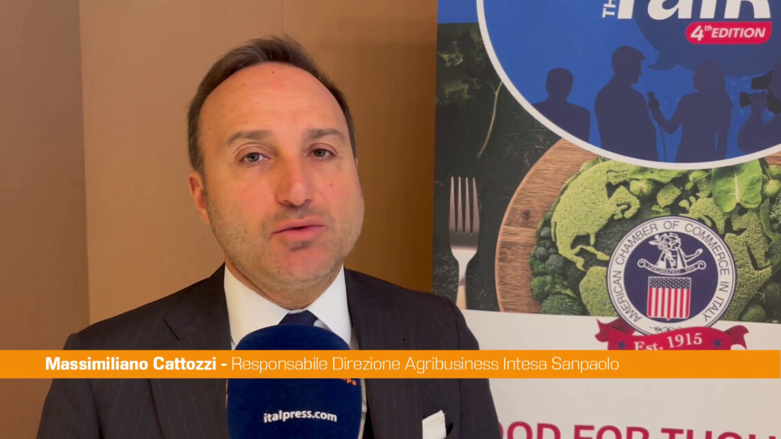 Cattozzi “Imprese ci chiedono come accompagnarle in mercati esteri” Cattozzi “Imprese ci chiedono come accompagnarle in mercati esteri”