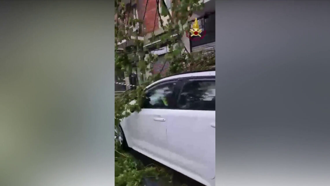 Maltempo in Lombardia, a Milano alberi caduti e allagamenti Maltempo in Lombardia, a Milano alberi caduti e allagamenti