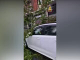 Maltempo in Lombardia, a Milano alberi caduti e allagamenti