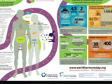Gli interferenti endocrini un pericolo per la salute, focus AME