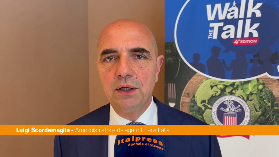 Scordamaglia “Mercato Usa insostituibile per filiera agroalimentare” Scordamaglia “Mercato Usa insostituibile per filiera agroalimentare”
