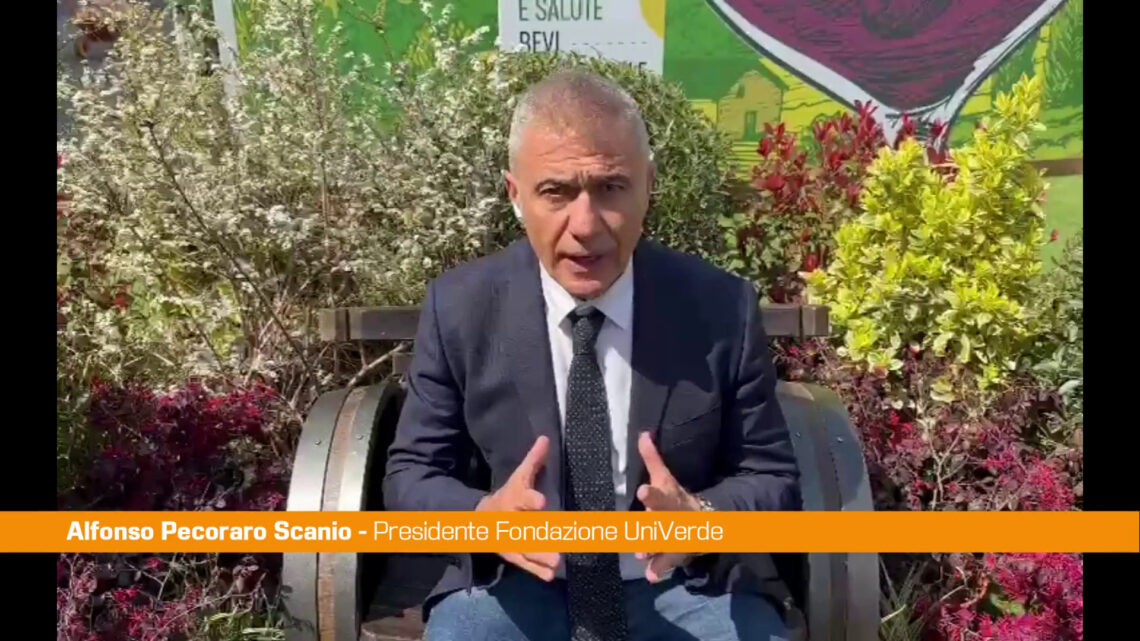 Pecoraro Scanio “Il turismo sostenibile è il futuro” Pecoraro Scanio “Il turismo sostenibile è il futuro”