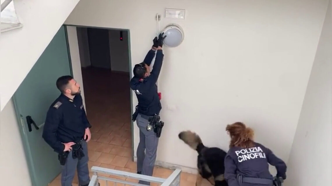 Catania, sequestrata marijuana nascosta in una plafoniera Catania, sequestrata marijuana nascosta in una plafoniera