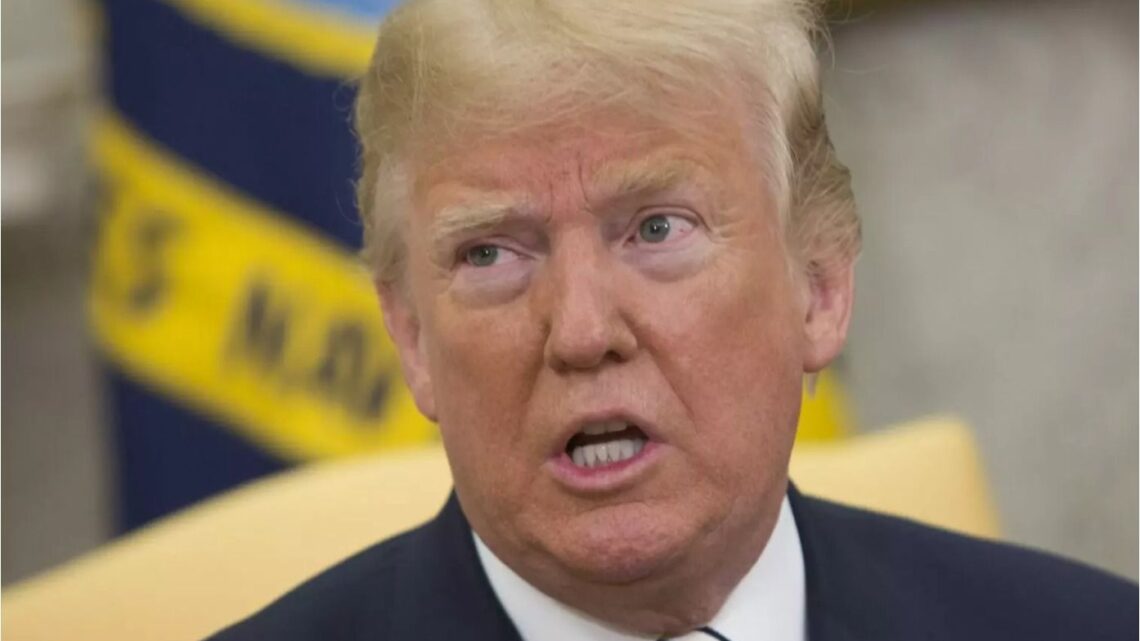 Ucraina, Trump “Parlerò al telefono con Putin lunedì, poi con Zelensky” Ucraina, Trump “Parlerò al telefono con Putin lunedì, poi con Zelensky”
