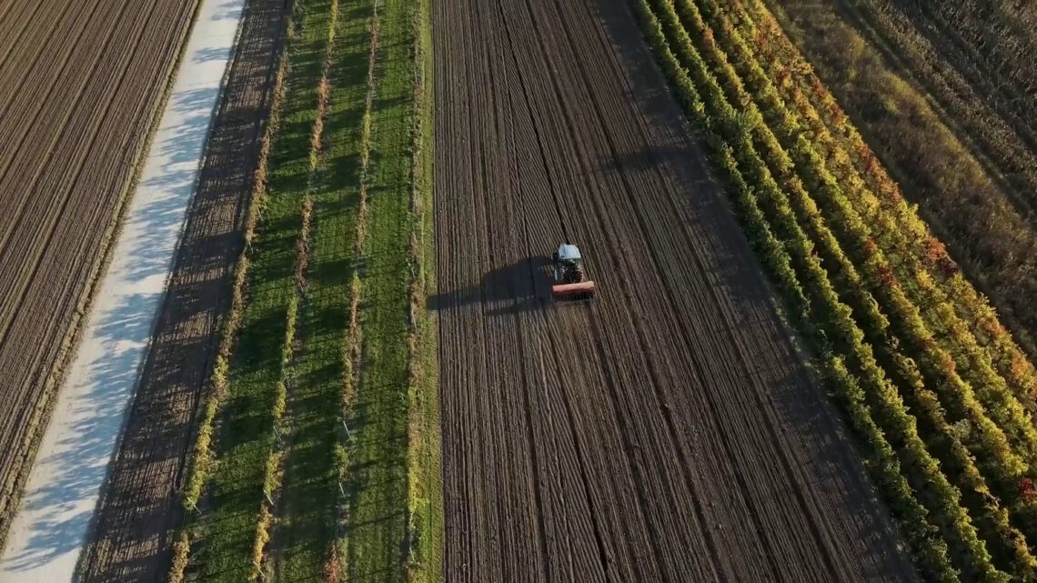 Agroalimentare sempre più attrattivo per i giovani Agroalimentare sempre più attrattivo per i giovani