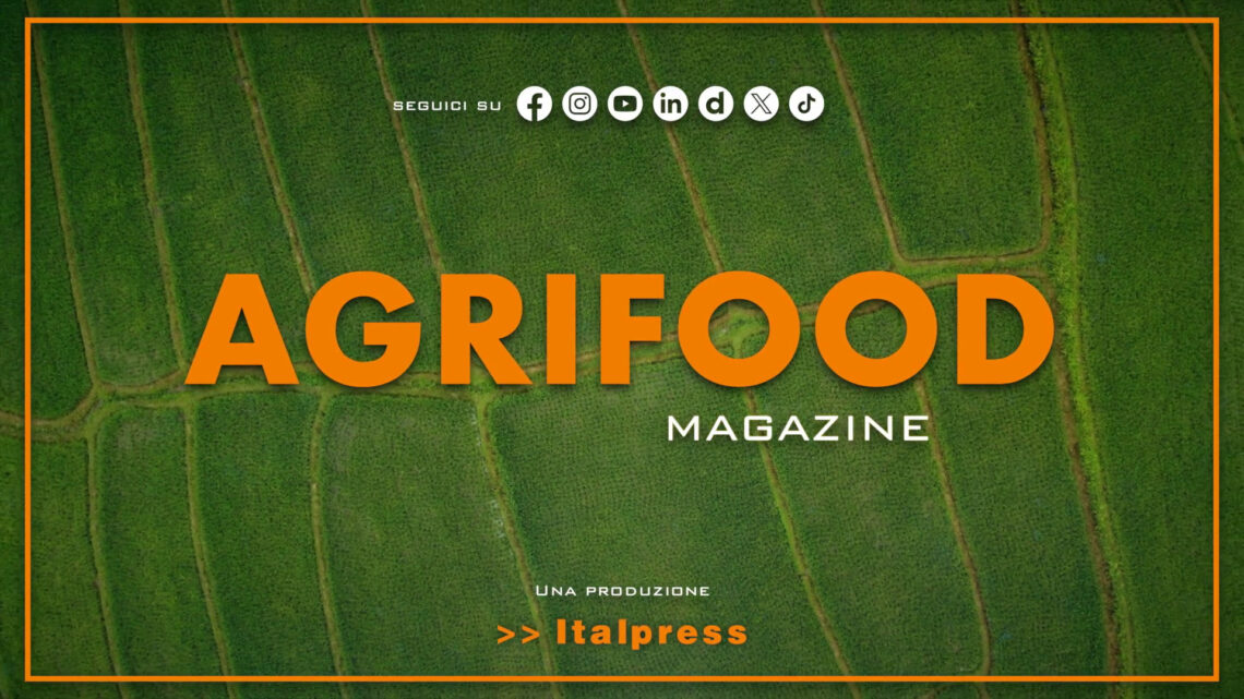 Agrifood Magazine – 28/5/2025 Agrifood Magazine – 28/5/2025