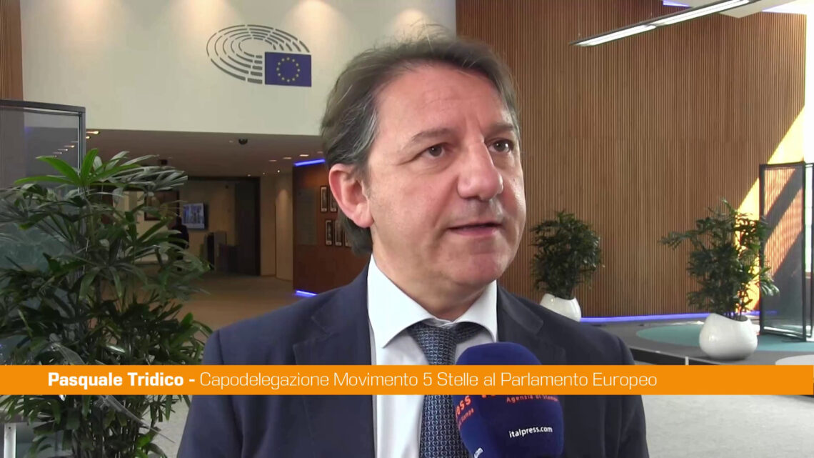Tridico “L’Italia cresce meno della media europea” Tridico “L’Italia cresce meno della media europea”