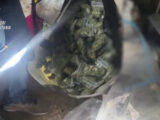 Scoperto un deposito di droga in un garage a Catania, un arresto