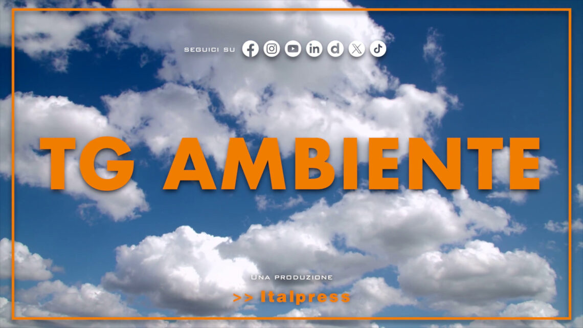 Tg Ambiente – 11/5/2025 Tg Ambiente – 11/5/2025