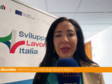 UniMi, Brambilla “Atenei rispondano a esigenze del mercato del lavoro”