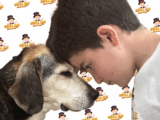Al Centro Talenti Village il “Pet Camper Tour Giubileo Edition”