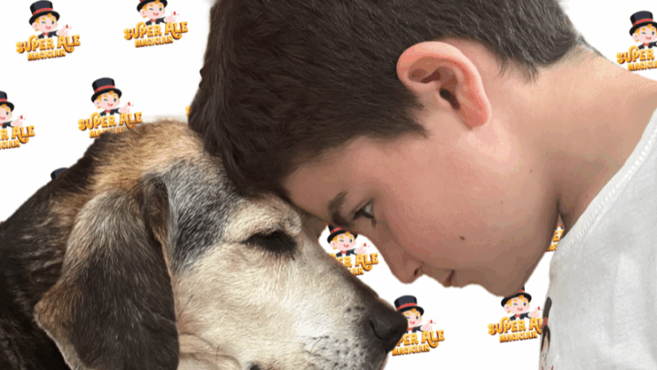 Al Centro Talenti Village il “Pet Camper Tour Giubileo Edition”