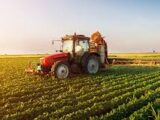 L’Europa (ri)parla di agricoltura.Quanto sarà sostenibile ?