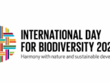 Biodiversità violata. L’Onu la celebra lo stesso