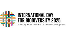 Biodiversità violata. L’Onu la celebra lo stesso Biodiversità violata. L’Onu la celebra lo stesso