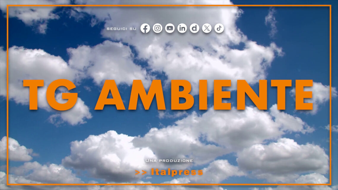Tg Ambiente – 4/5/2025 Tg Ambiente – 4/5/2025