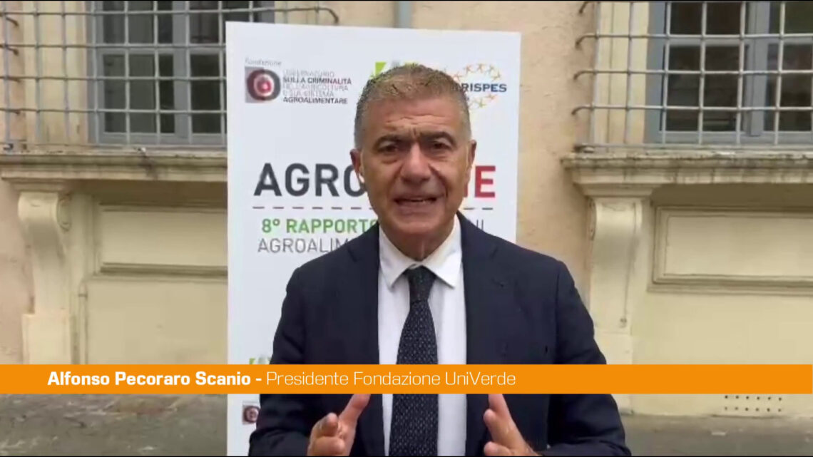 Pecoraro Scanio “Serve una legge contro le agromafie” Pecoraro Scanio “Serve una legge contro le agromafie”