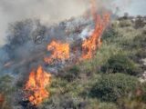 Ambiente: pronta la task force anticendi