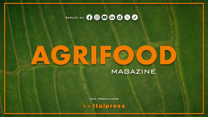 Agrifood Magazine – 14/5/2025